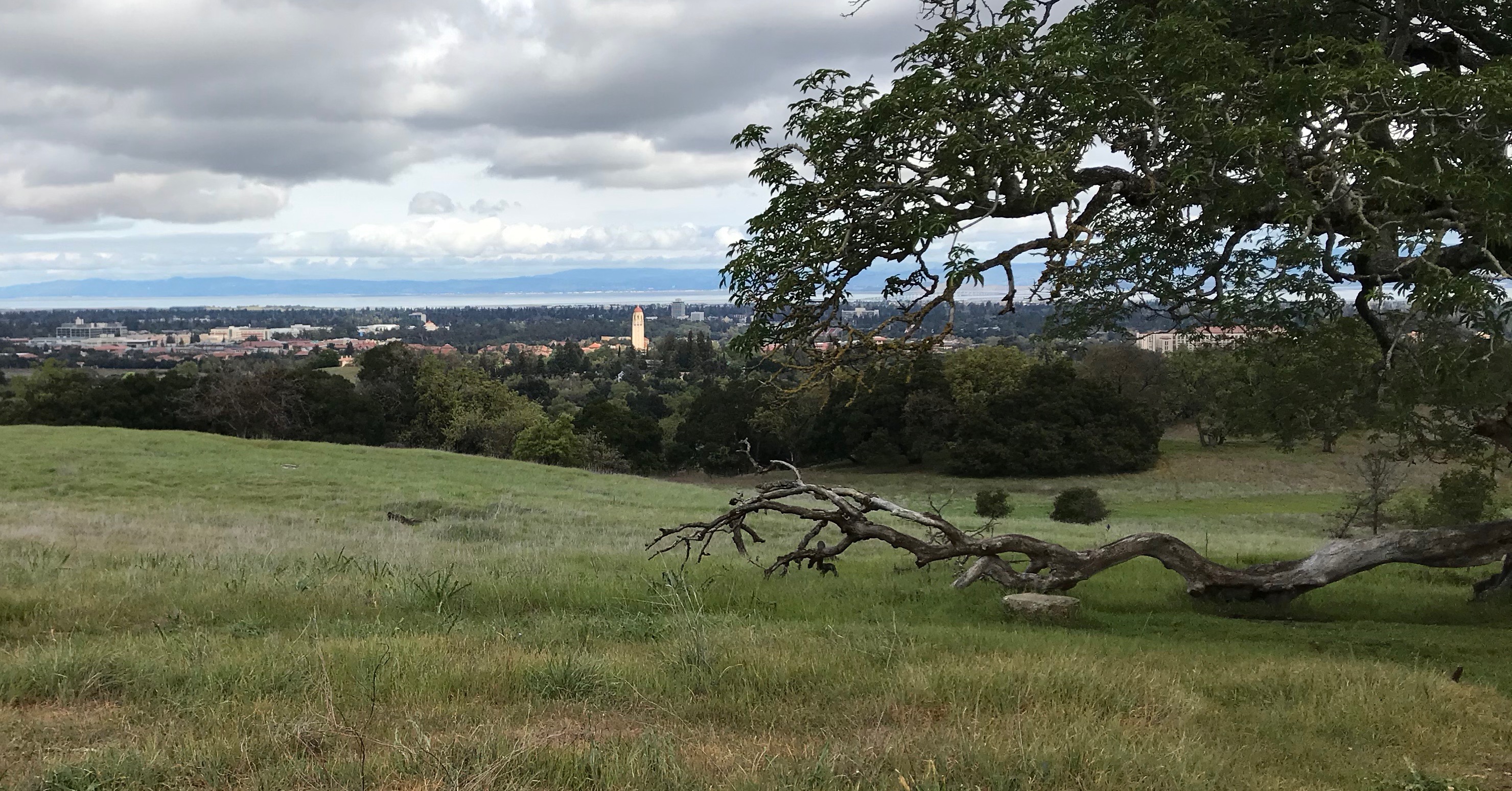 StanfordDish