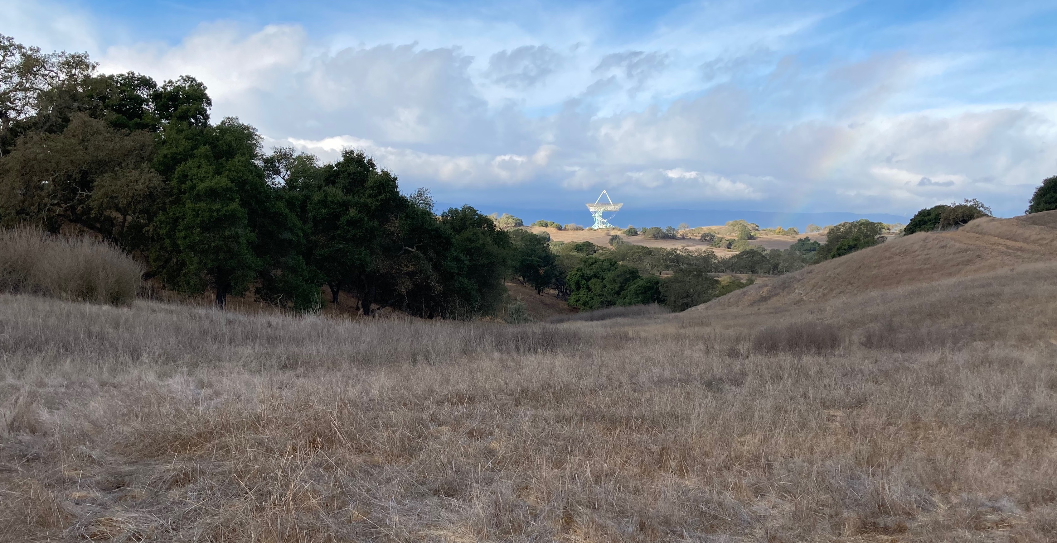 StanfordFall