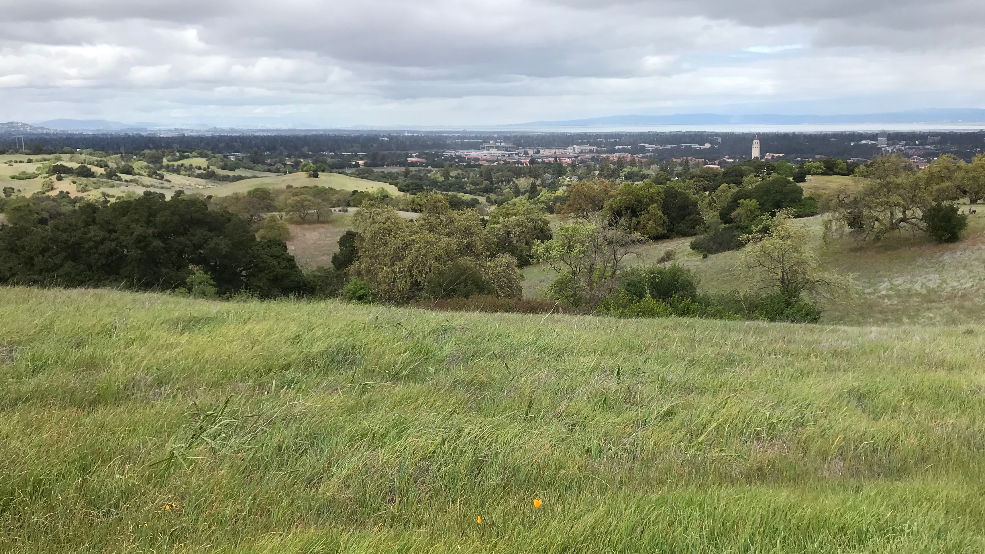 StanfordDish